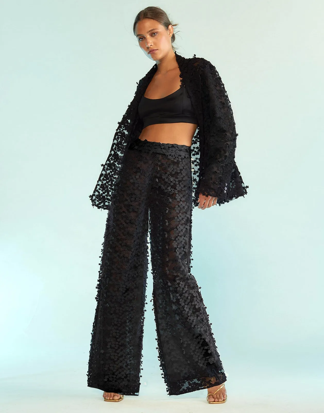 3D Embroidered Tulle Pants