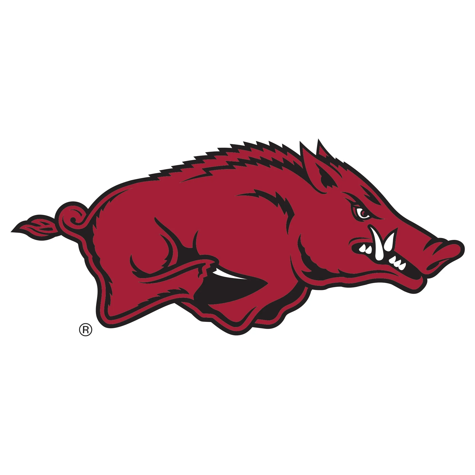 Arkansas Razorbacks: Outdoor Logo - Officially Licensed NCAA Outdoor Graphic