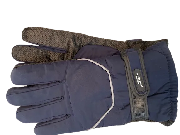 Men's Winter Water Proof Insulated Gloves